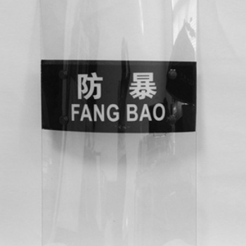 北京鑫譽(yù)隆安全科技有限公司供應(yīng)防暴盾牌