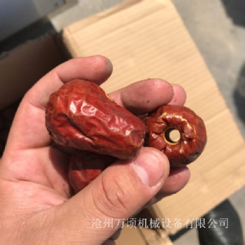 寧夏駿棗去核機全系列全規格