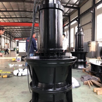 QZB QHB 大流量泵有哪些技術標準