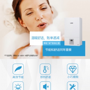 河南濮陽(yáng)博世新之星壁掛爐 濮陽(yáng)暖氣片批發(fā)