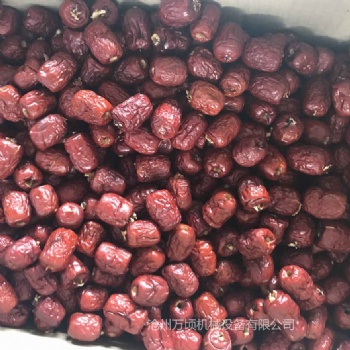 昆明全自動紅棗去核機供應商**品牌