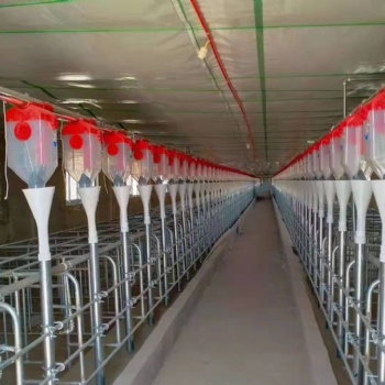 撫順地區(qū)全自動(dòng)化料線 豬舍養(yǎng)殖設(shè)備自動(dòng)上料線
