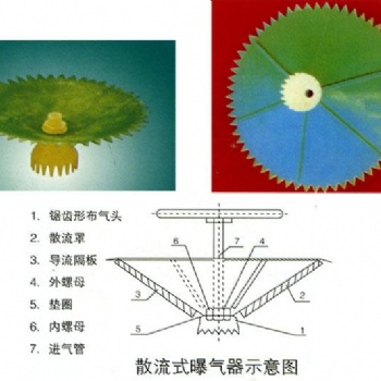 杭州鋼鐵集團 散流式曝氣器 結(jié)構(gòu)簡單 價格低