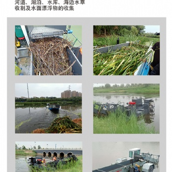 晟河割草船 水葫蘆打撈船 滸苔打撈船 水浮蓮打撈船 湖面垃圾清理船