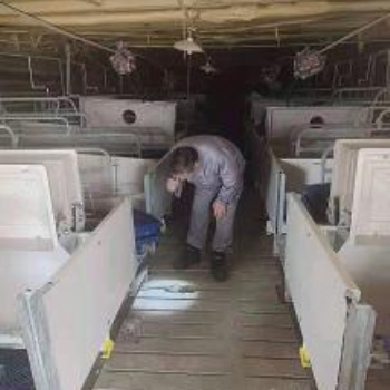 河南養殖場滅鼠經驗豐富全面徹底