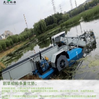 晟河割草船 水葫蘆打撈船 滸苔打撈船 水浮蓮打撈船浙江清漂船生產(chǎn)廠家