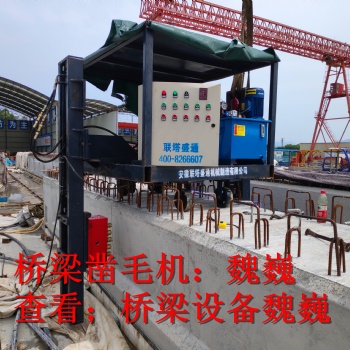 橋梁鑿毛機(jī)路面鑿毛機(jī)-咨詢快速鑿毛機(jī)混凝土鑿毛機(jī)設(shè)備