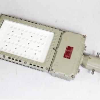 冠奕達GYD970L系列防爆路燈、防爆街道燈、防爆馬路燈50W-250W