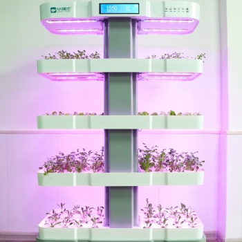 心福地養心吧 室內種植 加濕空氣 釋放負氧離子 水培蔬菜