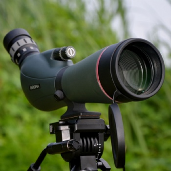 觀鳥單筒望遠鏡博冠驚鴻20-60x80ED博冠望遠鏡武漢總經銷
