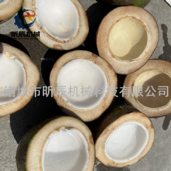 供應全自動椰子切半機青椰子一刀切兩半老椰子破殼機