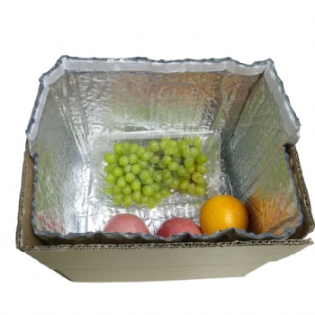 生鮮水果保溫防潮包裝 鋁箔立體泡泡袋 紙箱內襯 可定制