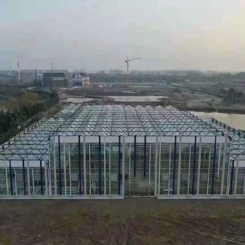 蔬菜溫室 連棟蔬菜溫室 千宏連棟蔬菜溫室承建商