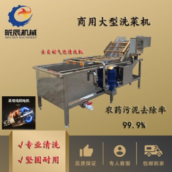 全自動廚房洗菜機(jī)去農(nóng)殘果蔬氣泡清洗機(jī)中藥材清洗風(fēng)干流水線