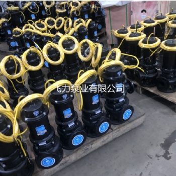 WQ潛水排污泵 離心三相無堵塞潛污泵潛水泵固定式潛水排污泵