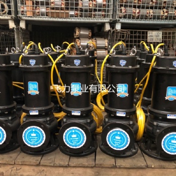 WQ潛水泵污水污物潛水泵 工程潛水排污泵 法蘭無堵塞排污泵