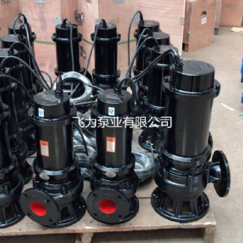 污水泵WQ排污離心潛水泵 農(nóng)用污泥泵全銅芯污物排水泵 魚塘攪泥泵