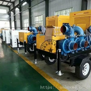 珠海市8寸口徑德國翰絲混流泵泵車