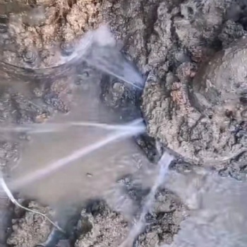 杭州地下水管漏水檢測(cè) 自來(lái)水管查漏 消防管網(wǎng)漏水檢測(cè) 地下管道勘察定位