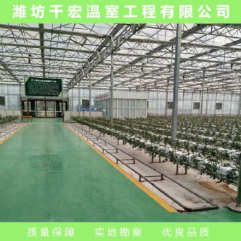 玻璃溫室 玻璃溫室建造 江西玻璃溫室設(shè)計(jì)