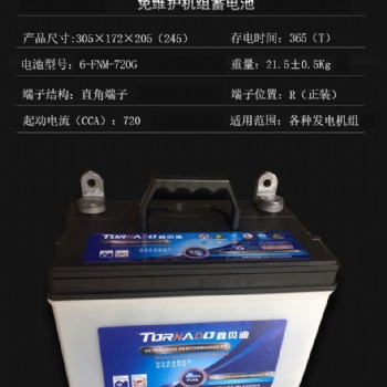 發電機電瓶6-FNM-720G