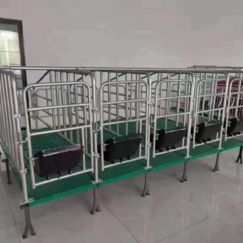 加厚母豬定位欄豬用限位欄母豬圍欄豬欄設備豬床定位欄