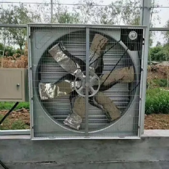 鍍鋅板負(fù)壓風(fēng)機(jī)工業(yè)排風(fēng)扇大功率強(qiáng)力靜音排氣扇換氣扇大棚養(yǎng)殖場(chǎng)抽風(fēng)機(jī)