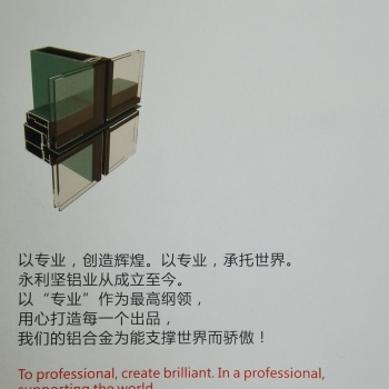 供應永利堅鋁合金幕墻型材