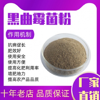 黑曲霉菌粉對飼料發酵和動物養殖有什么作用和功效