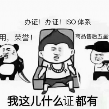ISO9001質量管理體系