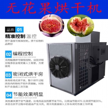 無花果烘干機水果干燥機除濕機烘箱烤房