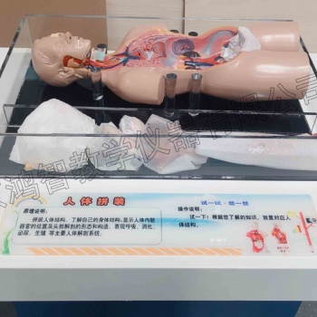 科普展品科學科學探究 中小學科技館 人體拼裝
