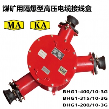 BHG1-400/10-3G隔爆型電纜高壓接線盒