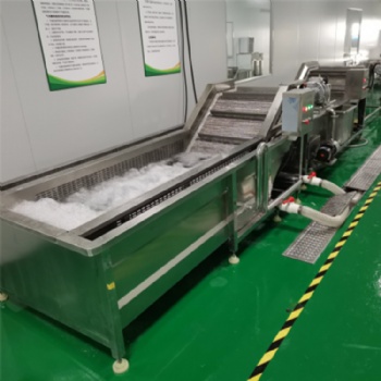 氣泡清洗機 全自動果蔬清洗機