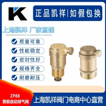 銅排氣閥 黃銅排氣閥
