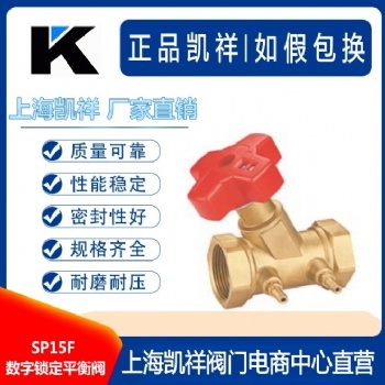 SP15F數(shù)字鎖定平衡閥