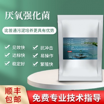 2021菌寶生物厭氧強化菌 沼氣池厭氧池厭氧反應器污水厭氧塔