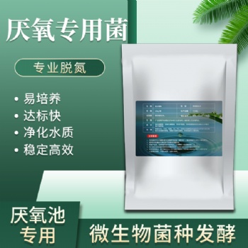 2021菌寶生物厭氧池缺氧菌種脫氮細菌生活污水工業廢水除總氮
