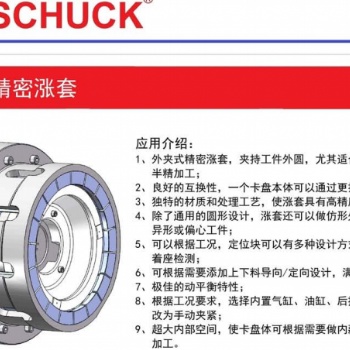 原裝進(jìn)口BOSSCHUCK外夾式精密漲套， 支持非標(biāo) 精度高