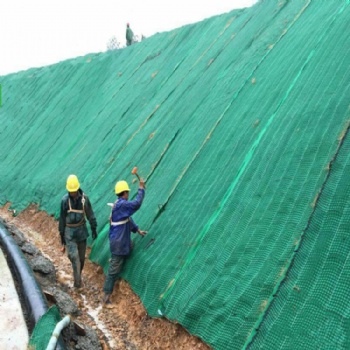 加筋防沖毯植生毯防沖生態毯河道整治城市綠化深受**