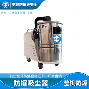 自貢金屬粉塵防爆吸塵器