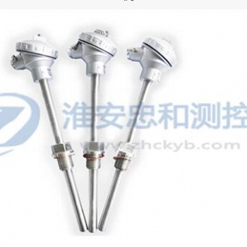 裝配式熱電偶 WRN