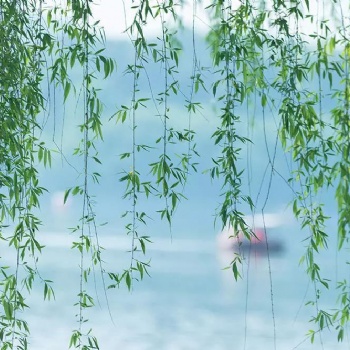 古琴彈奏的速度和細節