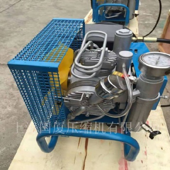 300公斤高壓呼吸器空氣充氣泵
