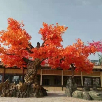 江油市室內水泥花樹施工價錢