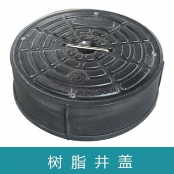 湖北龍康排水315復合井蓋