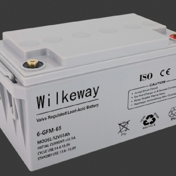 威爾克威蓄電池6-GFM-65廠家參數(shù)12V6**H