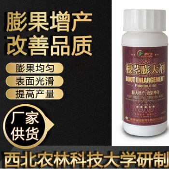 澳仕達根莖膨大劑 膨大增產(chǎn)效果神奇提高品質(zhì)膨大均勻不空心不裂果