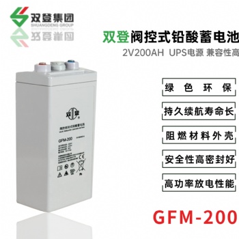雙登GFM-200 2V200AH 免維護鉛酸蓄電池 UPS不間斷電源 應急照明