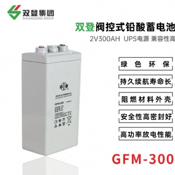 雙登GFM-300 2V300AH 閥控密閉式蓄電池 鉛酸免維護 UPS不間斷電源